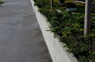 Concrete Curbing